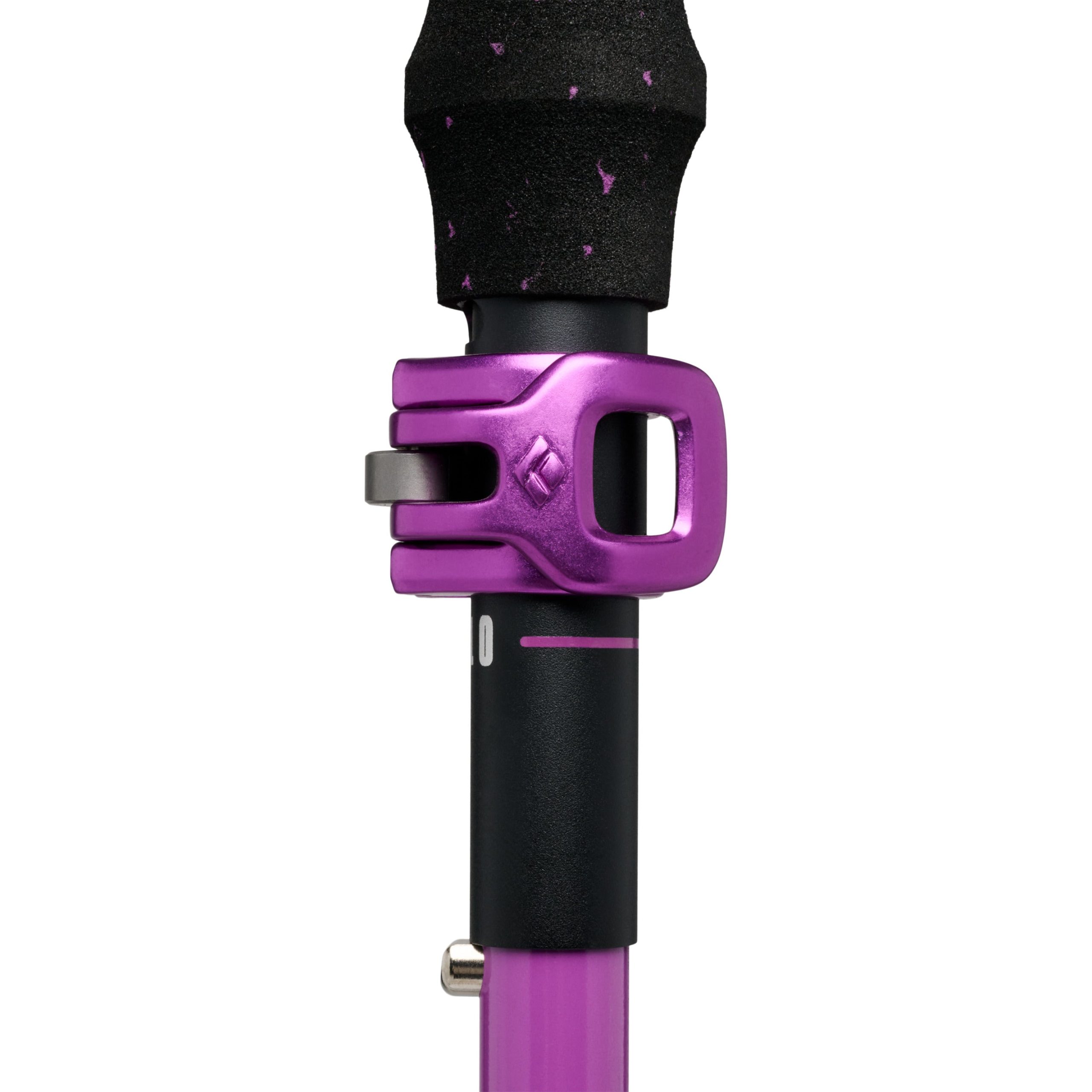 Expedition Ski Poles - Image 5